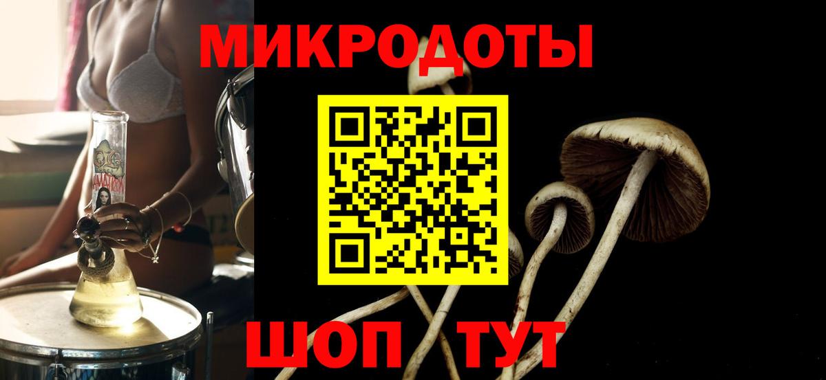 Псилоцибиновые грибы мицелий Ленинск-Кузнецкий