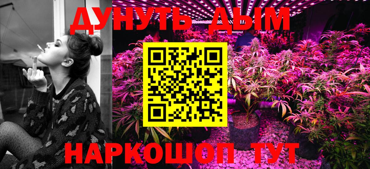 Конопля конопля  Каннабис Amnesia  Ленинск-Кузнецкий  Бошки марихуана планчик  Вход с VPN  Конопля Bruce Banner 